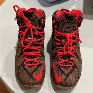 LeBron sneaker